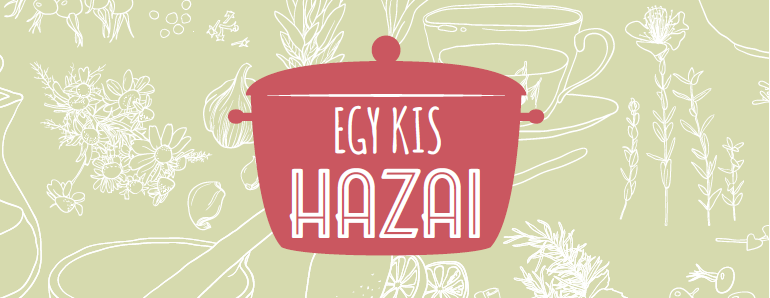 A WISZ „Egy kis hazai” c. programjának összefoglalója